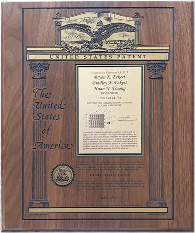 Patent